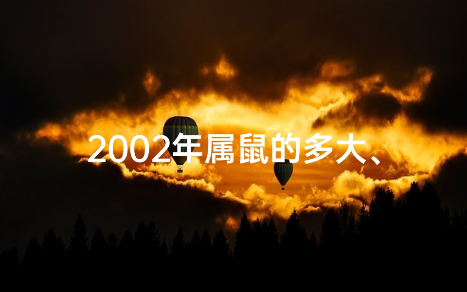 2002年属鼠的多大、2002年属啥的多大