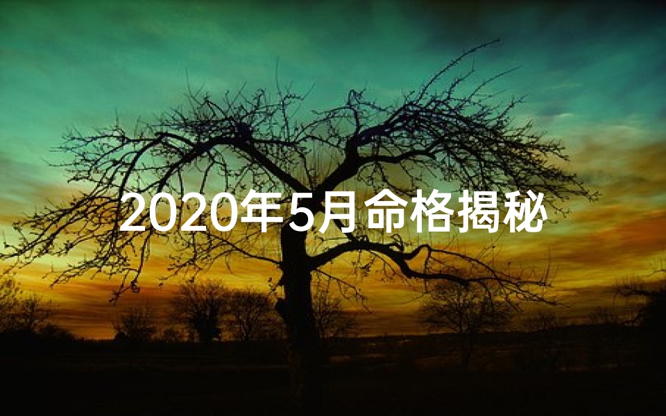 2020年5月命格揭秘：运势解析大揭秘