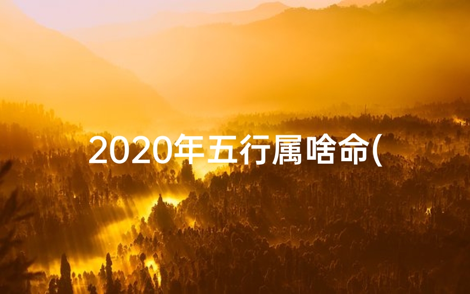 2020年五行属啥命(2020年属鼠五行命格：揭秘生肖鼠的运势密码)