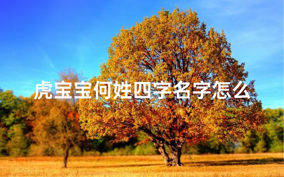 虎宝宝何姓四字名字怎么取;虎宝宝何姓，四字佳名彰显风采