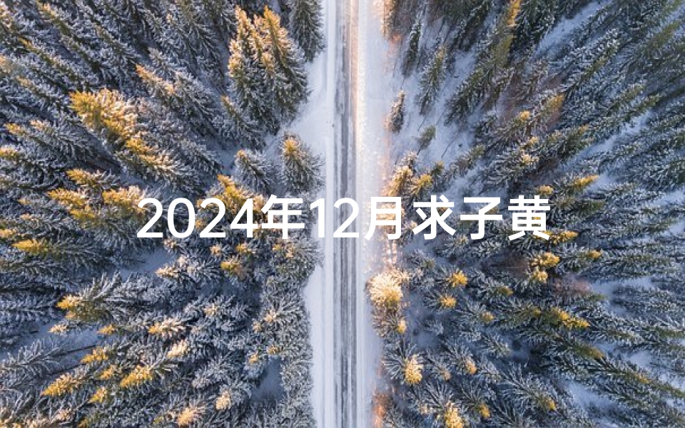 2024年12月求子黄道吉日(2024年12月求子吉日：最佳生育良辰揭晓)