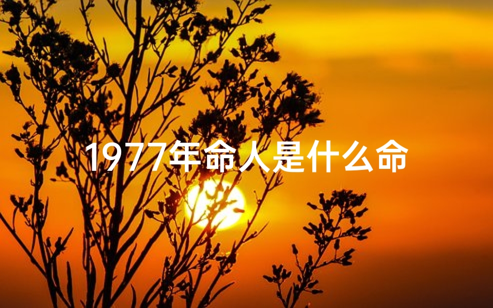 1977年命人是什么命_1977年命格：揭秘那一年出生的人的运势密码