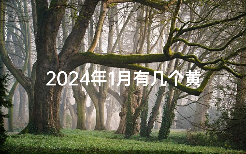 2024年1月有几个黄道吉日;2024年1月黄道吉日盘点：吉星高照的良辰美景