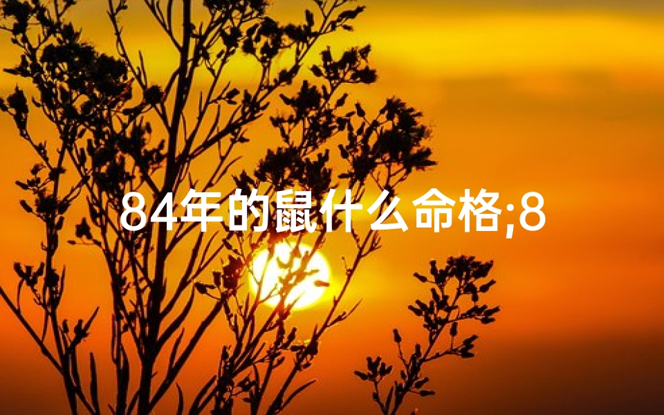 84年的鼠什么命格;84年的鼠什么命格啊