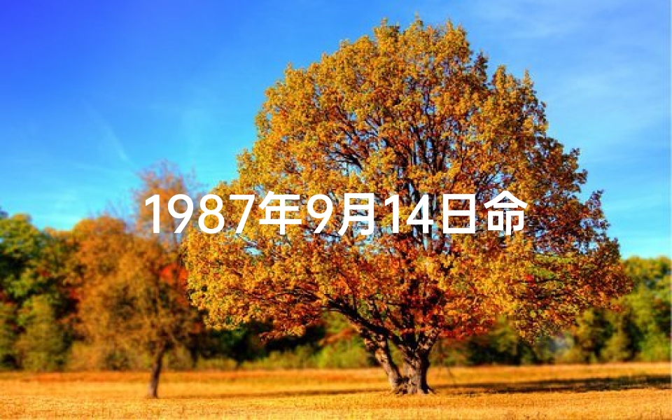 1987年9月14日命格,1987年9月14日命格：揭秘独特命运之谜