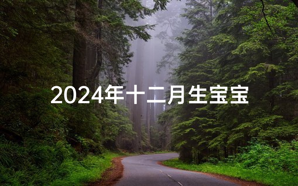 2024年十二月生宝宝黄道吉日精选