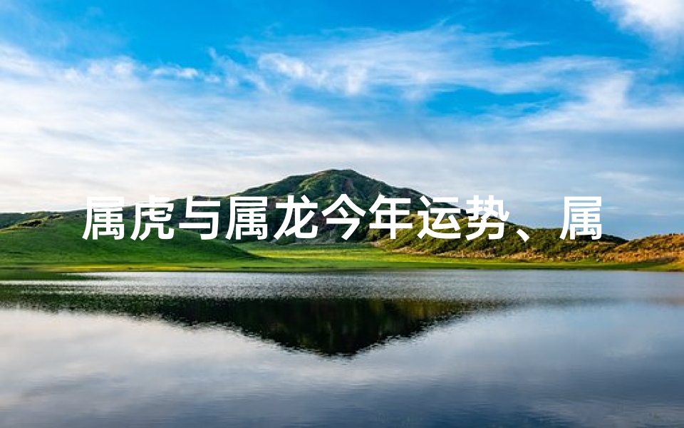 属虎与属龙今年运势、属虎和属龙的今年什么时候结婚比较好