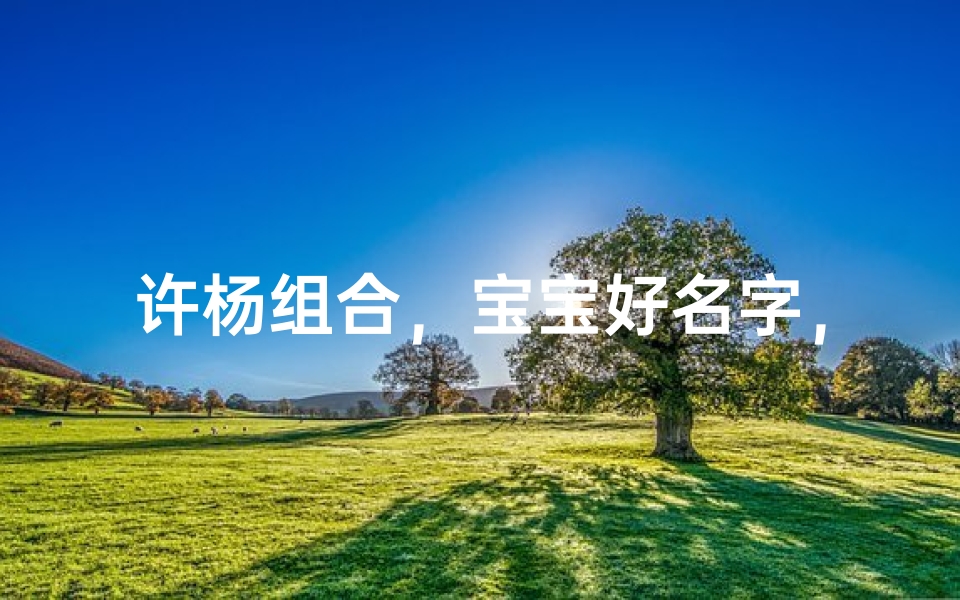 许杨组合，宝宝好名字，温馨命名大揭秘