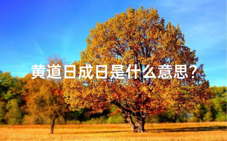 黄道日成日是什么意思？,黄道吉日成日究竟有何含义？