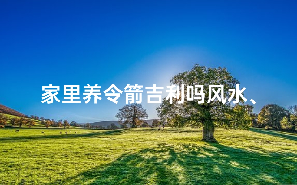 家里养令箭吉利吗风水、《家居风水：养令箭吉祥，布局宜忌揭秘》