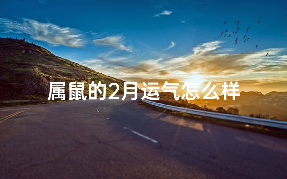 属鼠的2月运气怎么样