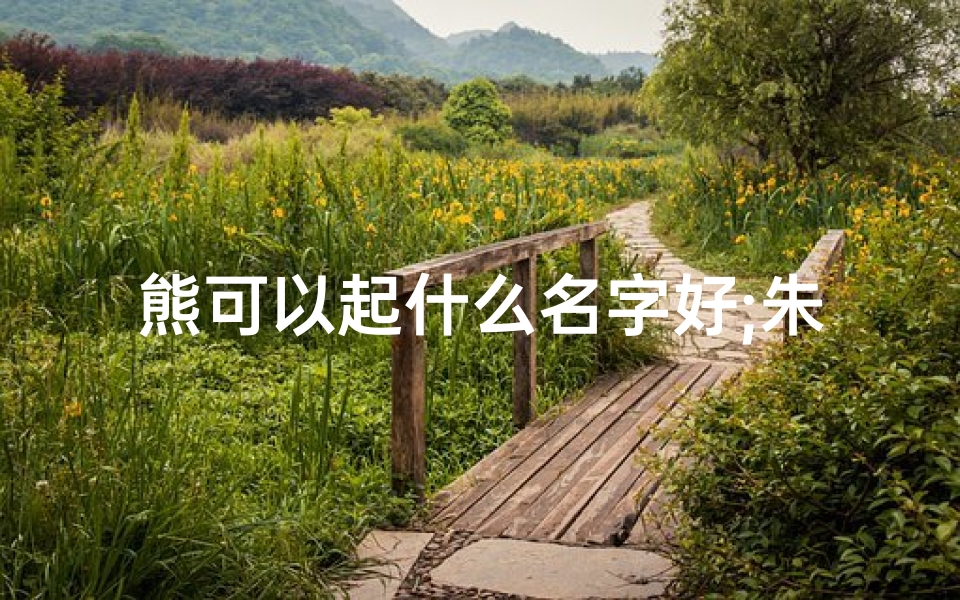 熊可以起什么名字好;朱姓宝宝与熊宝宝，温馨亲子名字大集合