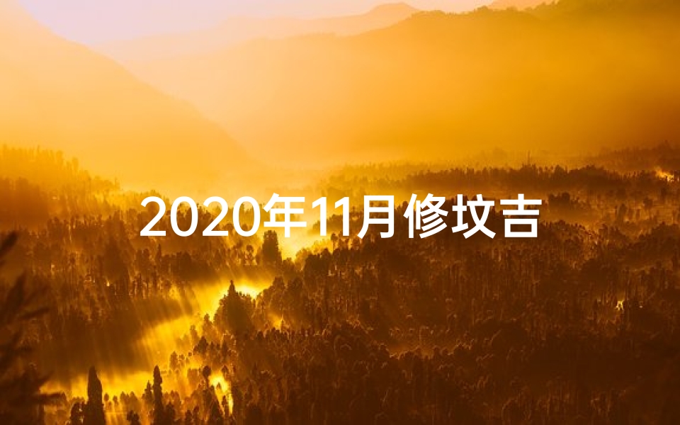 2020年11月修坟吉日一览表;2024年11月修坟吉日精选