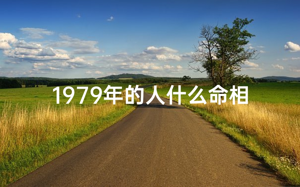 1979年的人什么命相、《1979年生肖属羊：揭秘本命年运势与命运转折》