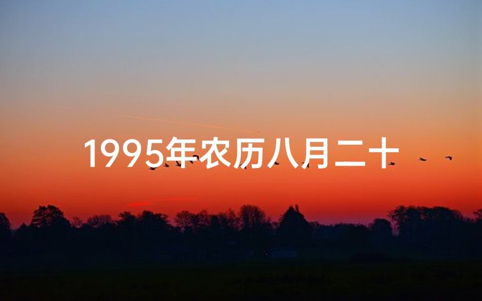 1995年农历八月二十八日-1995年8月28日命格：揭秘独特命运密码