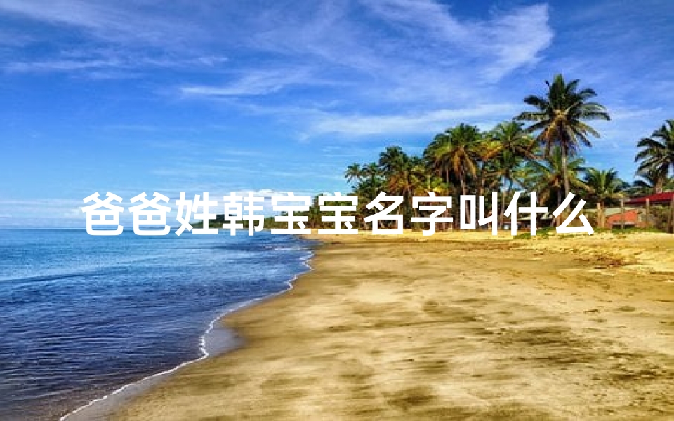 爸爸姓韩宝宝名字叫什么