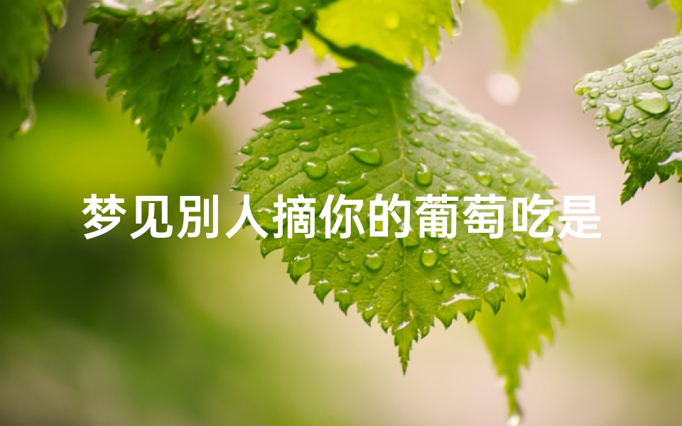 梦见別人摘你的葡萄吃是什么征兆—梦见别人摘葡萄给我吃