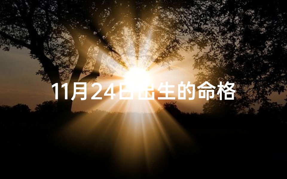 11月24日出生的命格,《2024年11月生辰八字对照表：精准解析你的命运密码》