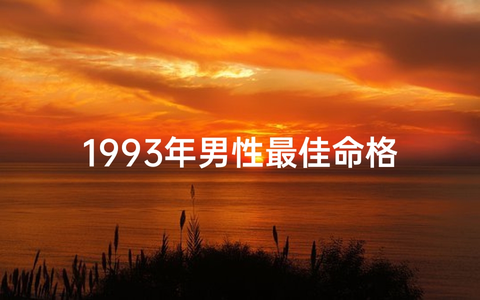 1993年男性最佳命格揭秘：运势大揭秘