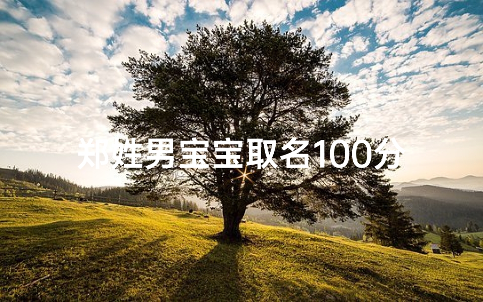 郑姓男宝宝取名100分,郑氏宝宝，2018年诞生：温馨祝福，美好名字揭晓