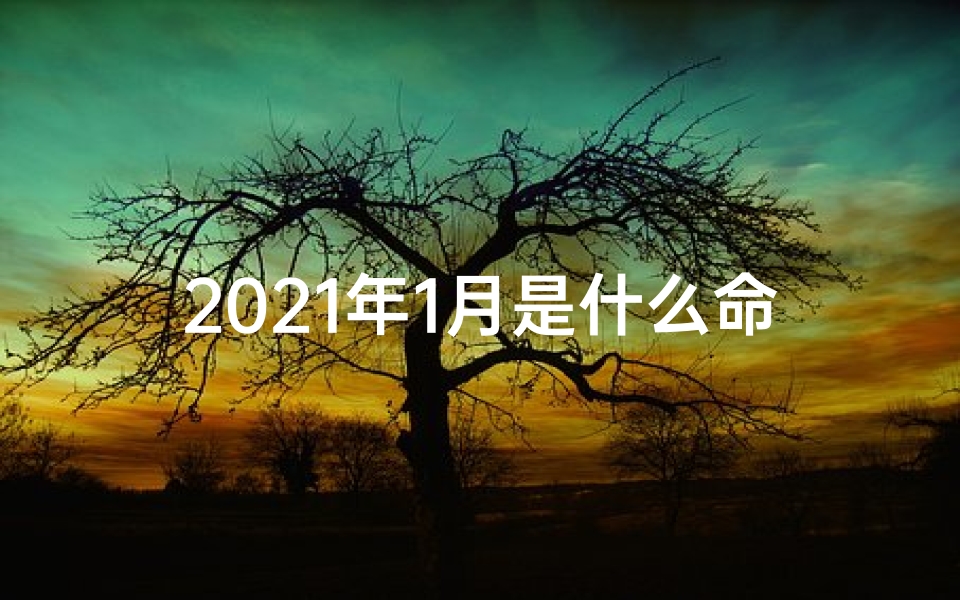 2021年1月是什么命格—2021年1月命格揭秘：运势详解