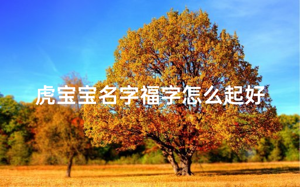 虎宝宝名字福字怎么起好—福字虎式