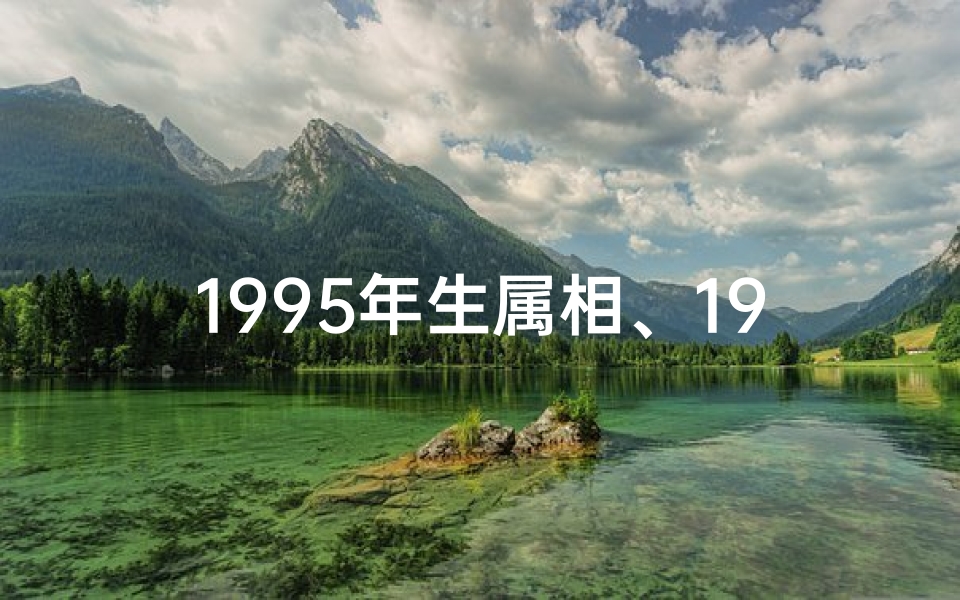 1995年生属相、1995年生肖兔：运势揭秘，福运亨通年