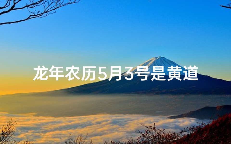 龙年农历5月3号是黄道吉日吗、龙年农历5月出生什么命