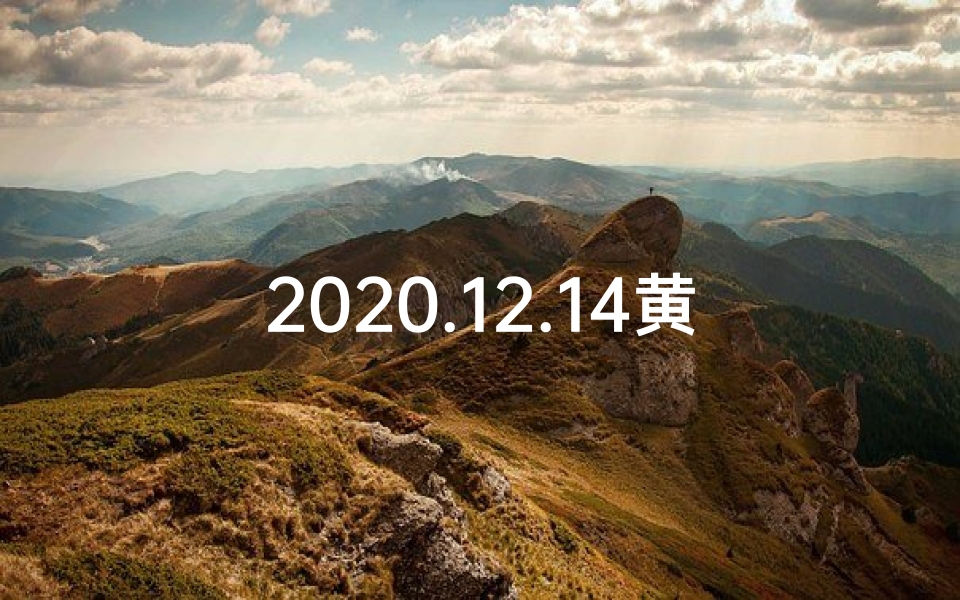 2020.12.14黄道吉日;2024年12月黄道吉日挂历：宜事吉时一览