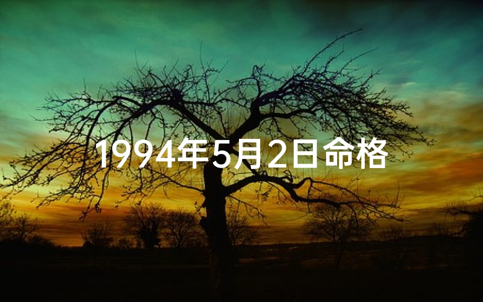 1994年5月2日命格_1994年5月2号出生是什么命