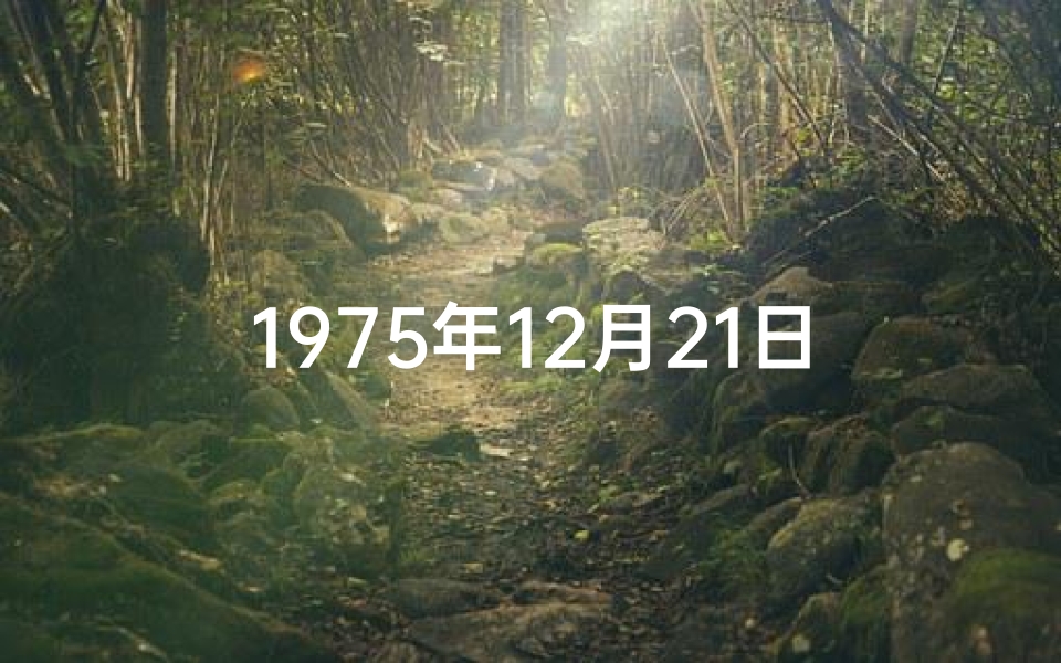 1975年12月21日生辰八字_1975年12月21日生辰八字揭秘