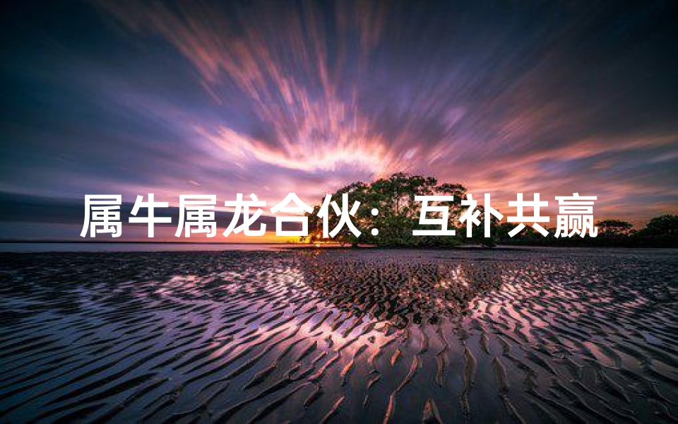 属牛属龙合伙：互补共赢新篇章