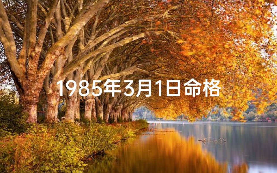 1985年3月1日命格_《1985年3月1日命格：时光之门的秘密钥匙》