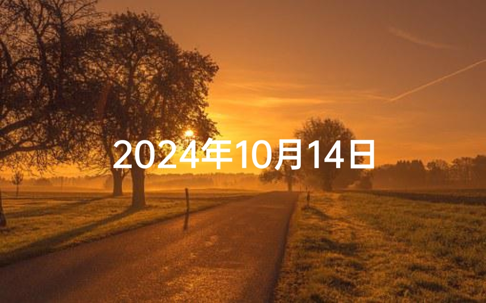 2024年10月14日农历是多少-2024年10月黄道吉日：进香祈福最佳时