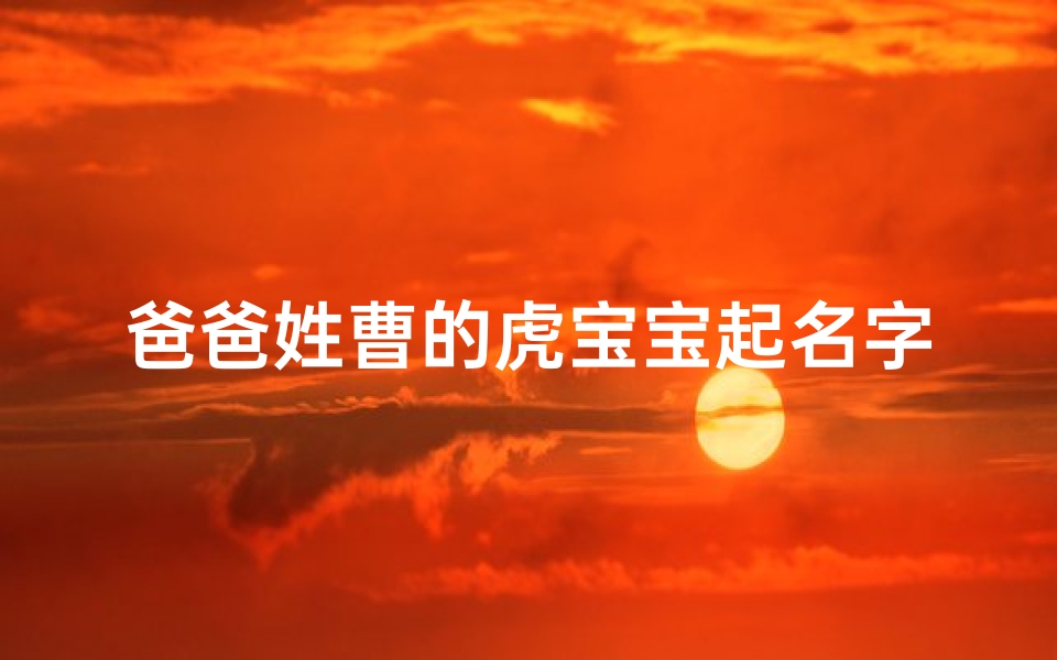 爸爸姓曹的虎宝宝起名字