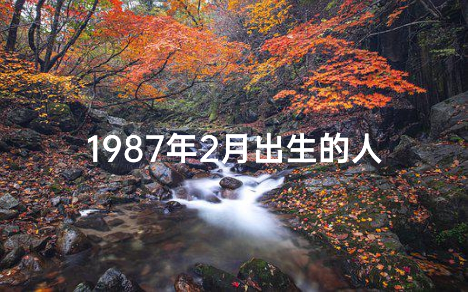 1987年2月出生的人属什么命格？揭秘87年生肖运势特点