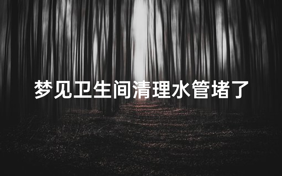 梦见卫生间清理水管堵了,梦见卫生间清理水管堵了什么意思