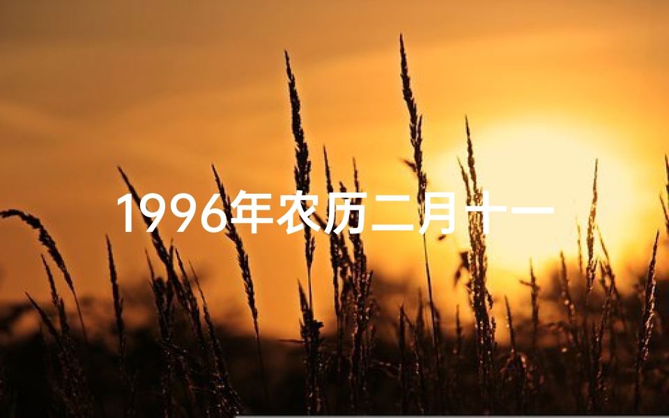 1996年农历二月十一生辰八字;1996年农历2月11日是什么命