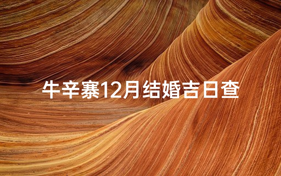 牛辛寨12月结婚吉日查询,牛辛寨12月结婚吉日查询大全