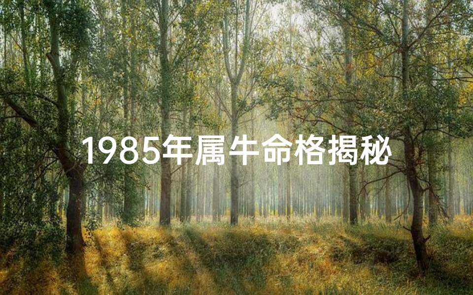 1985年属牛命格揭秘：运势详解与人生启示