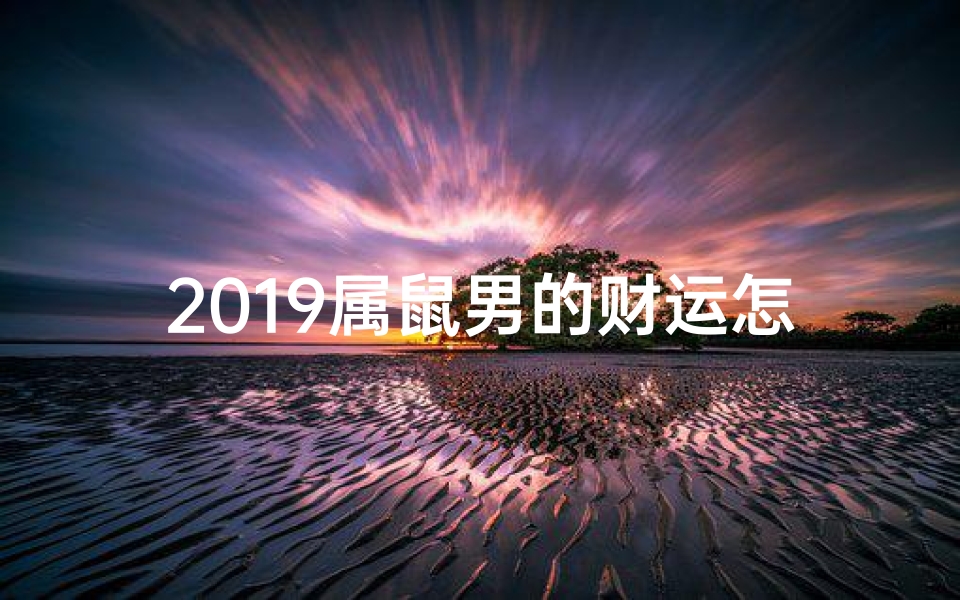 2019属鼠男的财运怎样_2019属鼠男士财运展望：运势大揭秘