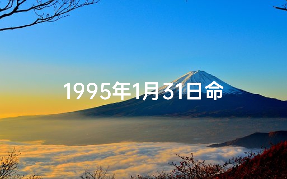 1995年1月31日命格-1995年1月31日五行