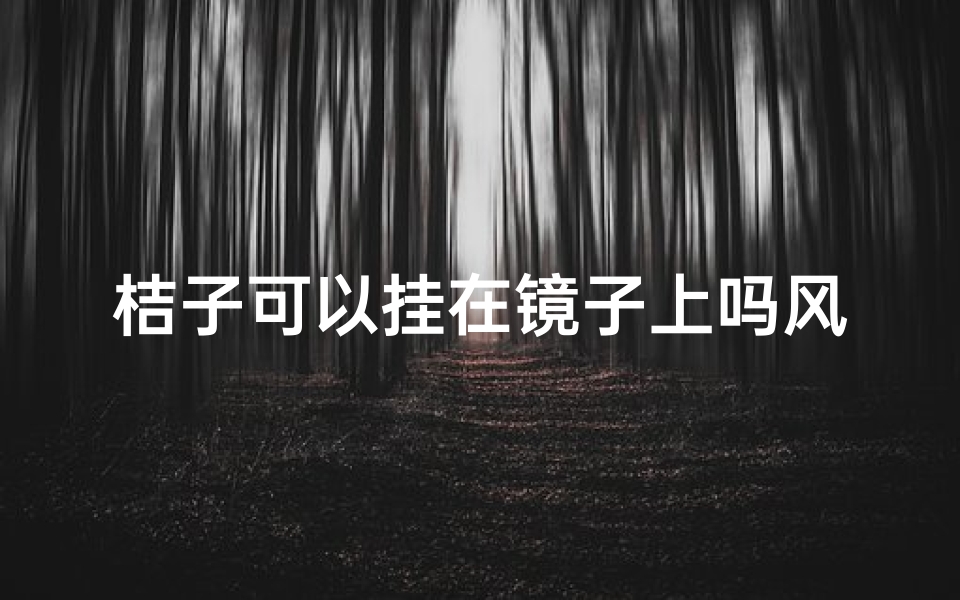 桔子可以挂在镜子上吗风水