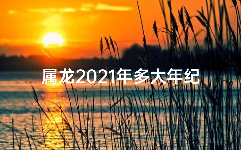 属龙2021年多大年纪;属龙2021年：龙年宝宝已长大几许？