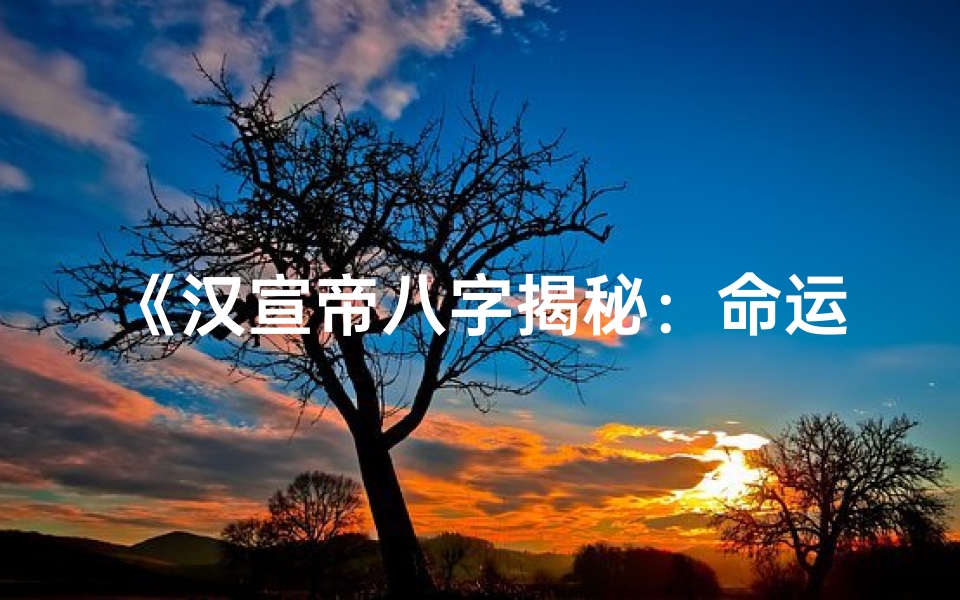 《汉宣帝八字揭秘：命运轨迹与帝王之才》