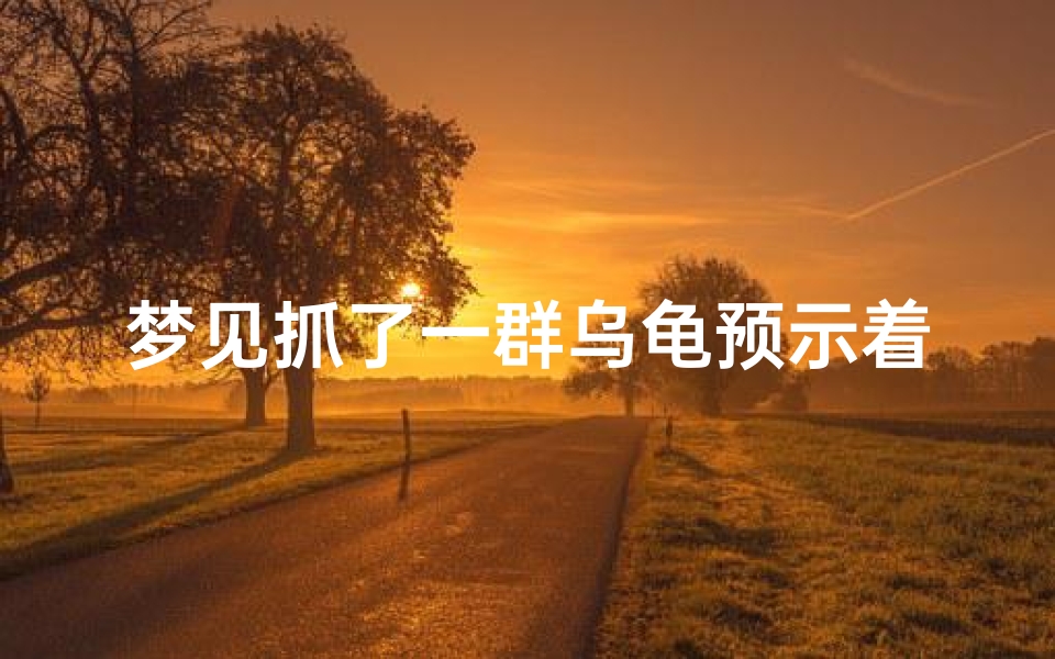 梦见抓了一群乌龟预示着什么