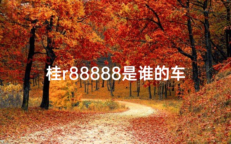 桂r88888是谁的车牌号_桂N8A816车牌吉凶一测，运势揭秘