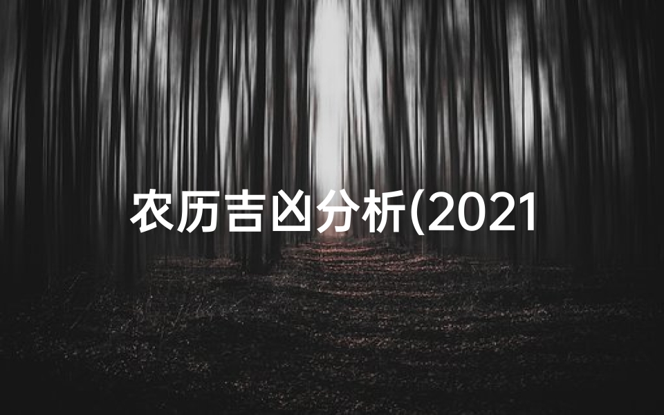 农历吉凶分析(2021农历凶吉)