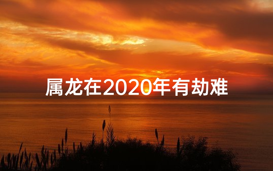 属龙在2020年有劫难吗、2020属龙很惨