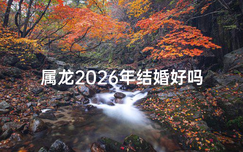 属龙2026年结婚好吗—属龙2026年喜结良缘：龙年佳偶天成喜临门